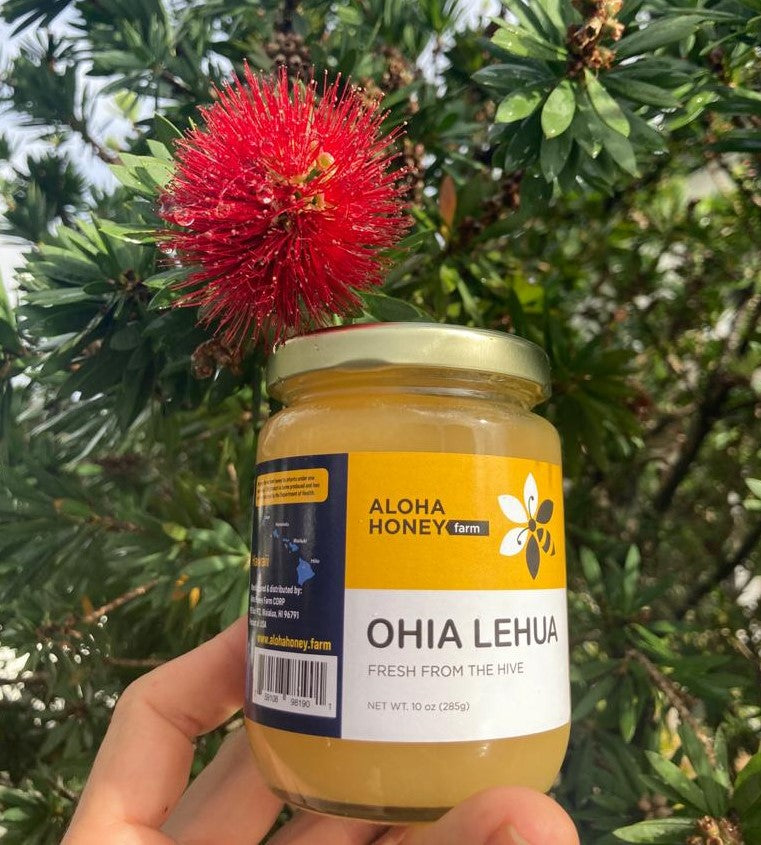 Raw, Organic, White Ohia Lehua Blossom Honey: Three 9 oz Jars